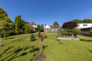 Photo 11- click for photo gallery